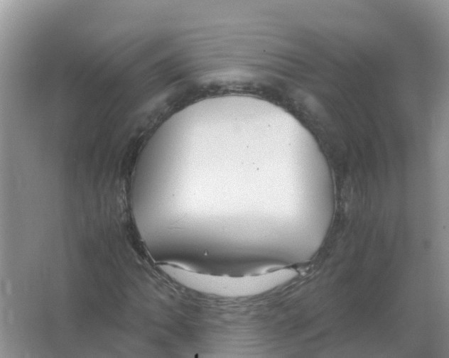 X0000066021062200603312043