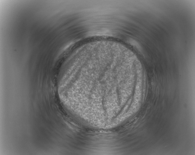 X0000066021064200603312043