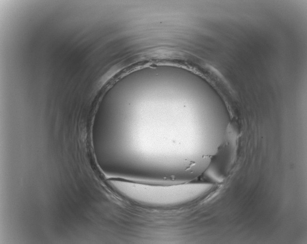 X0000066021065200603312043