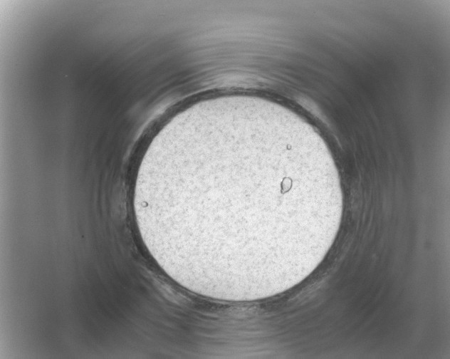 X0000066021067200603312043