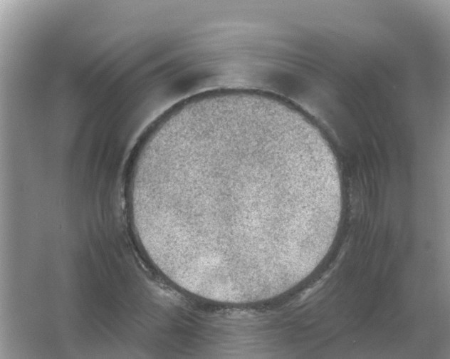 X0000066021070200603312043