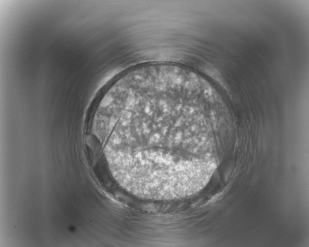 X0000066021071200603312043