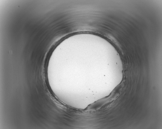 X0000066021072200603312043