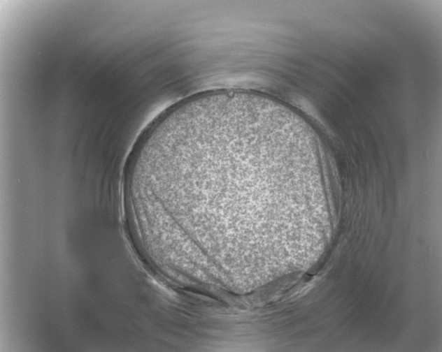 X0000066021079200603312043