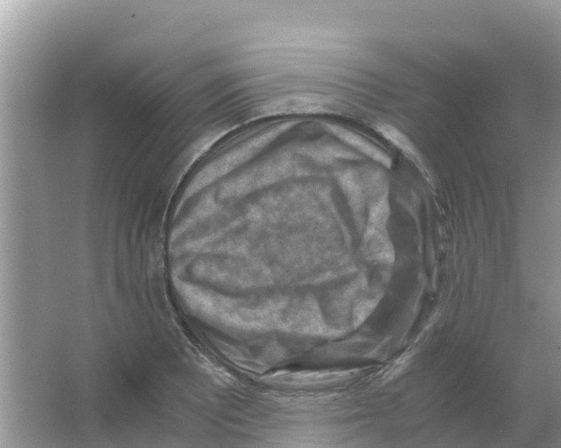 X0000066021081200603312043