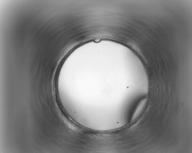 X0000066021082200603312043