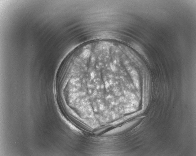 X0000066021084200603312043