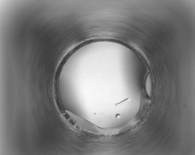 X0000066021085200603312043