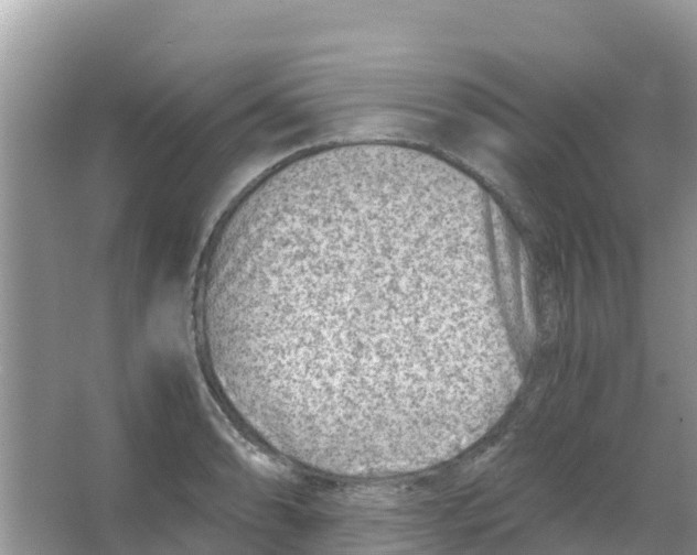 X0000066021086200603312043