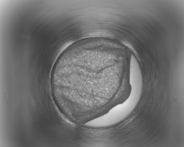 X0000066021087200603312043