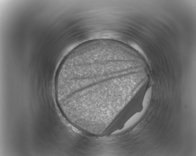 X0000066021088200603312043