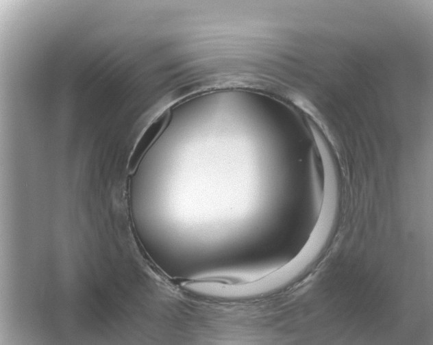 X0000066021089200603312042