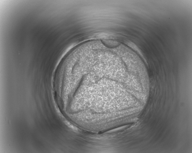 X0000066021091200603312042