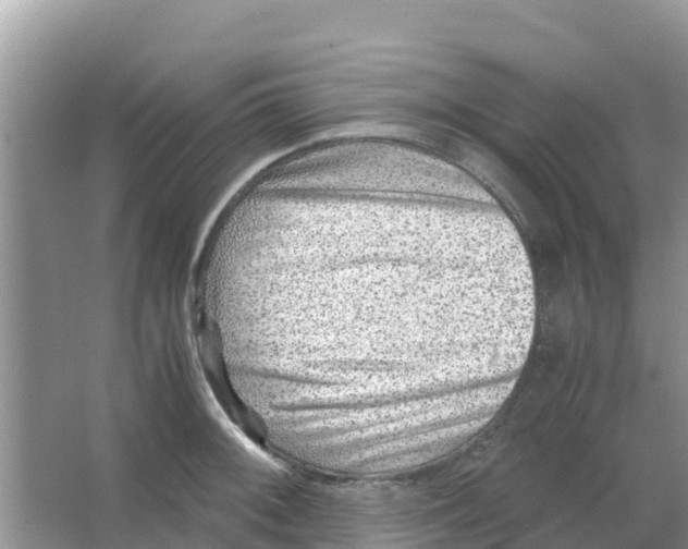 X0000066021092200603312042