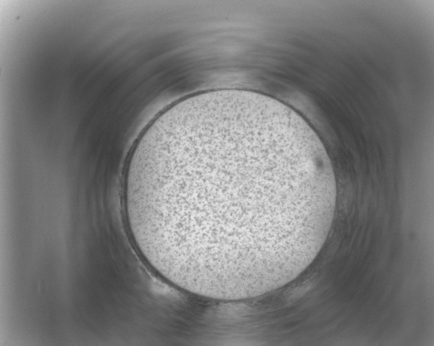 X0000066021094200603312042