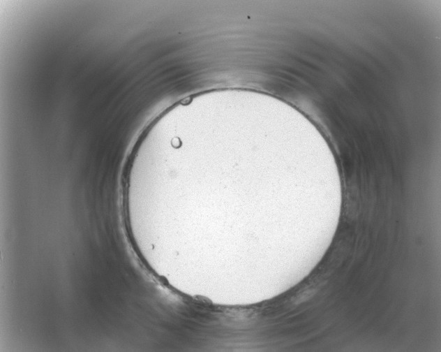 X0000066021096200603312042