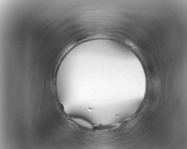 X0000066021097200603312042