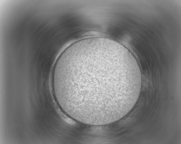 X0000066021098200603312042