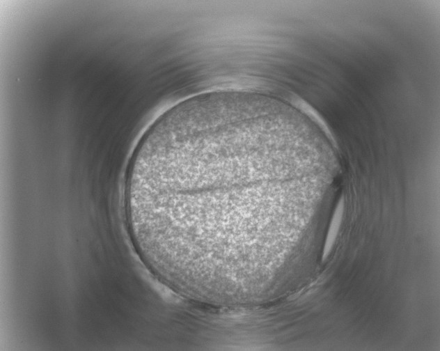 X0000066021099200603312042