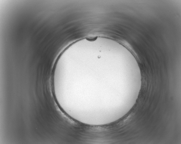 X0000066021100200603312042