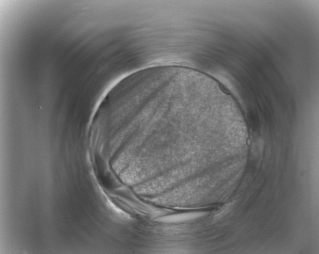 X0000066021102200603312042