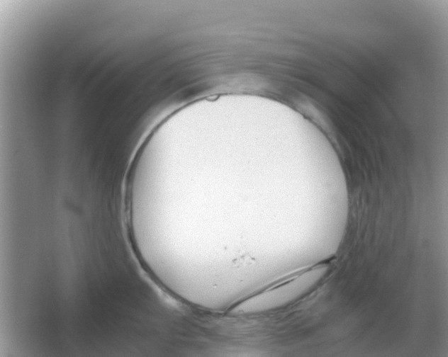 X0000066021103200603312042