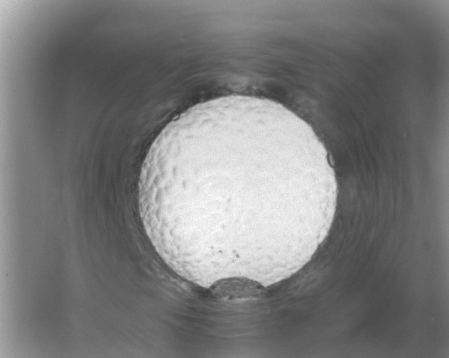 X0000066021105200603312041