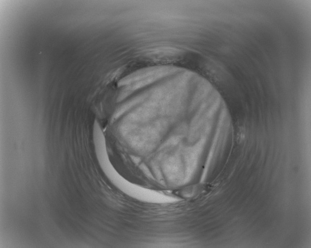 X0000066021108200603312041