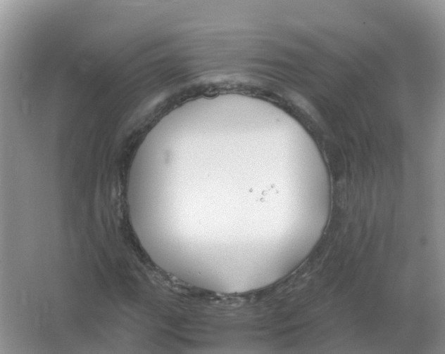 X0000066021111200603312042