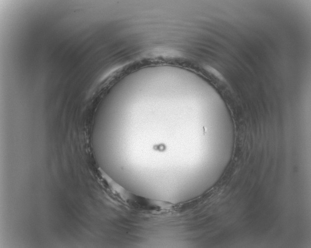 X0000066021112200603312042