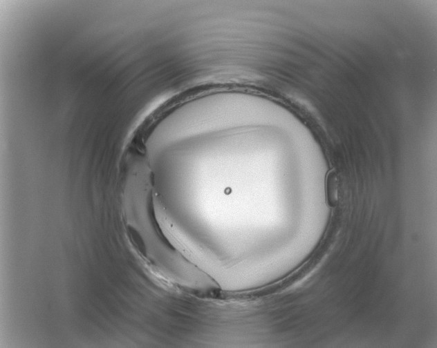 X0000066021114200603312042