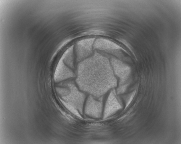 X0000066021115200603312042