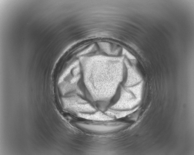 X0000066021118200603312042