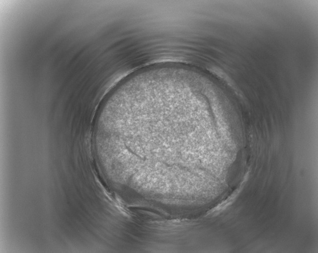 X0000066021121200603312042