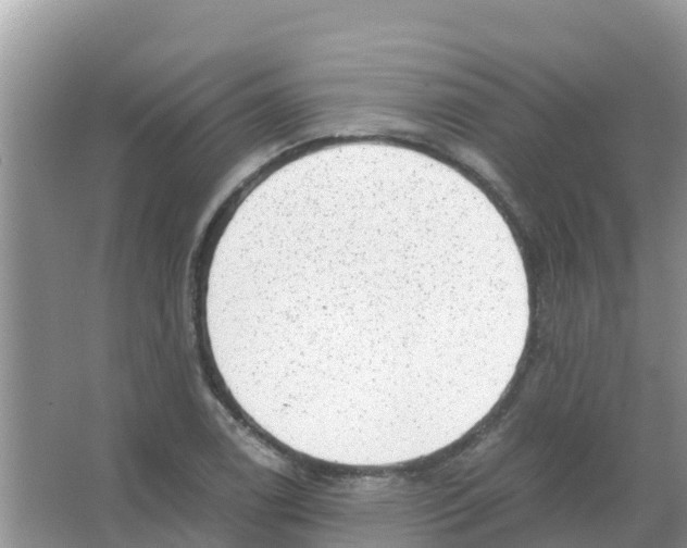 X0000066021122200603312042