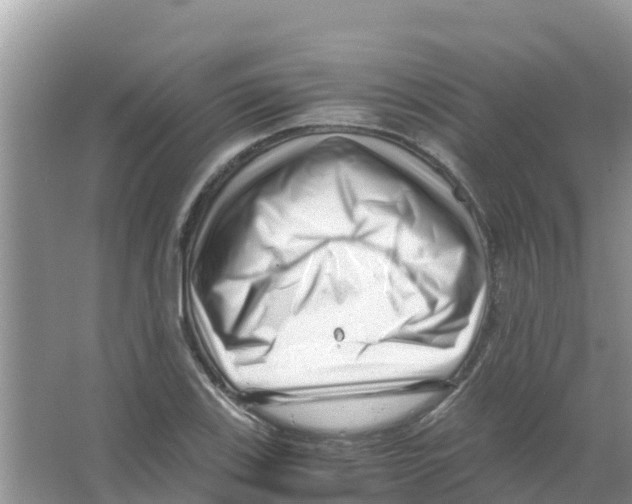 X0000066021123200603312042