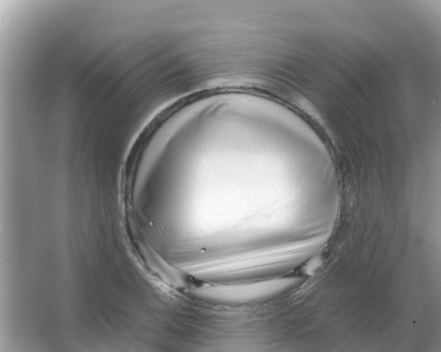 X0000066021124200603312042