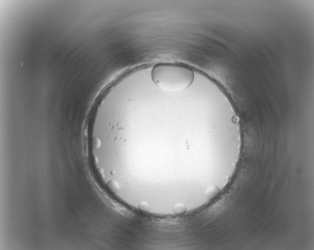 X0000066021126200603312042