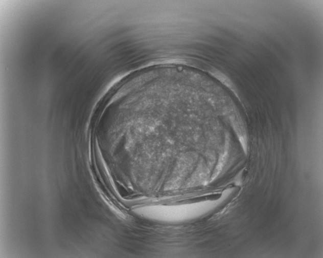 X0000066021127200603312042