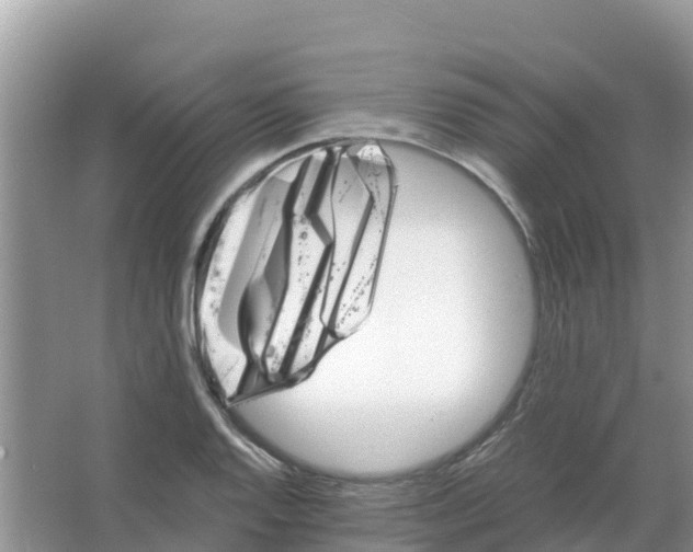 X0000066021128200603312042