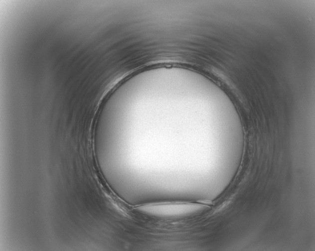 X0000066021129200603312042