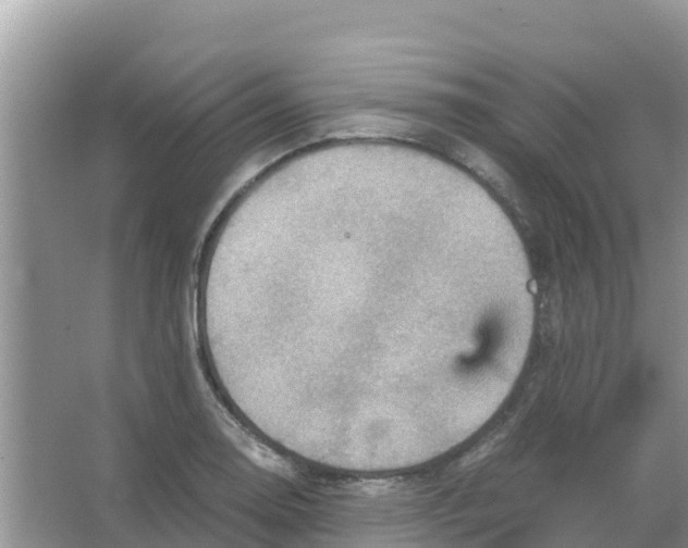 X0000066021130200603312042