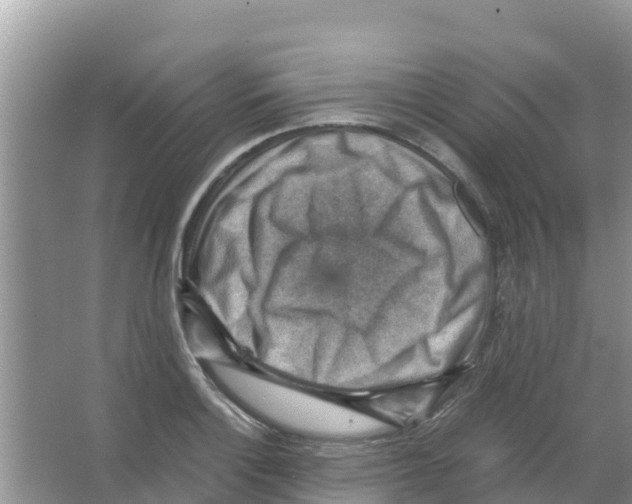 X0000066021132200603312042