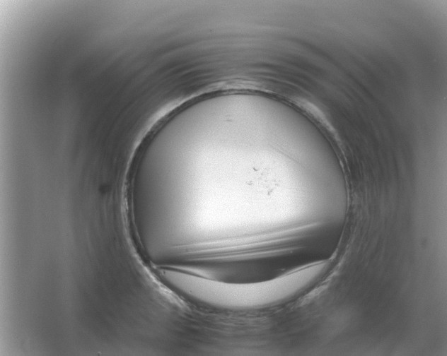 X0000066021133200603312042