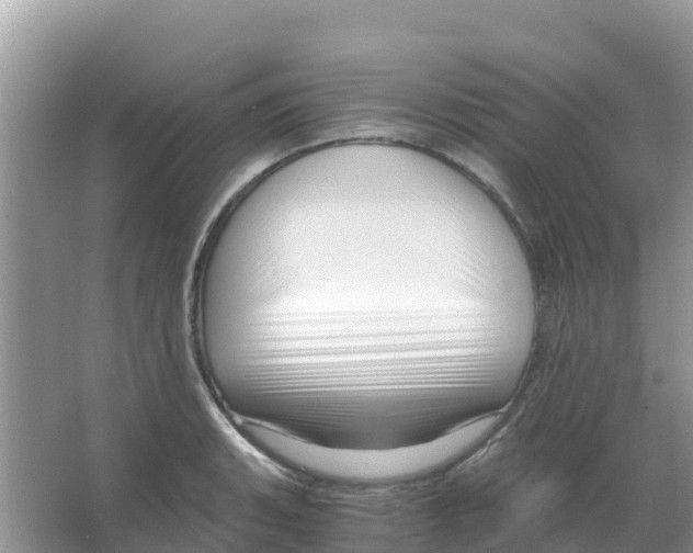 X0000066021135200603312042