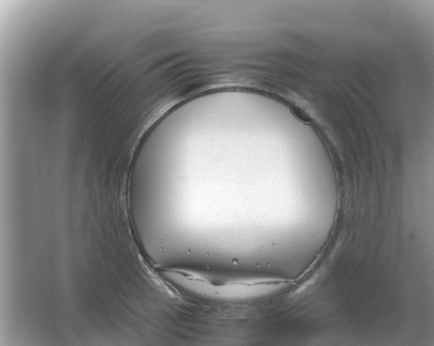 X0000066021137200603312042