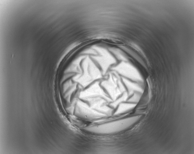 X0000066021138200603312042