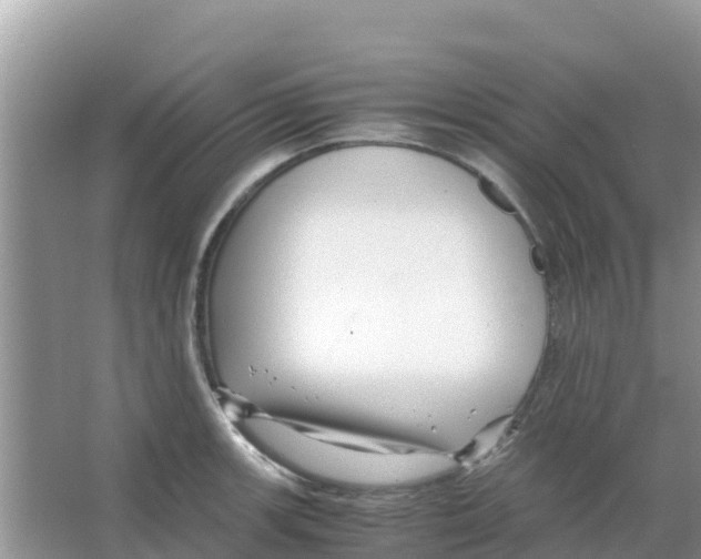 X0000066021139200603312042