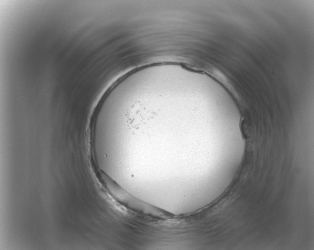 X0000066021140200603312042