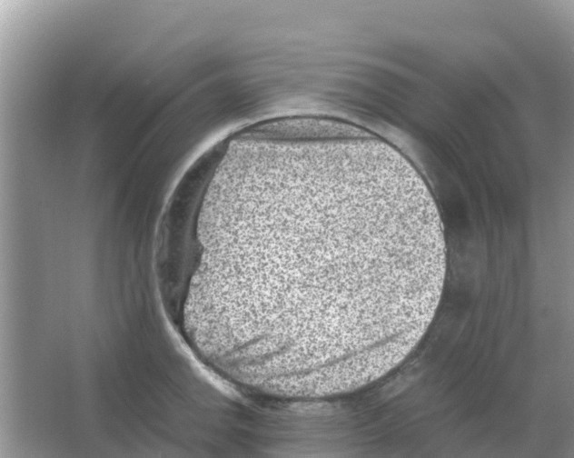 X0000066021142200603312042